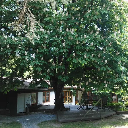 Kastanienhof Alvern Celle Exterior photo