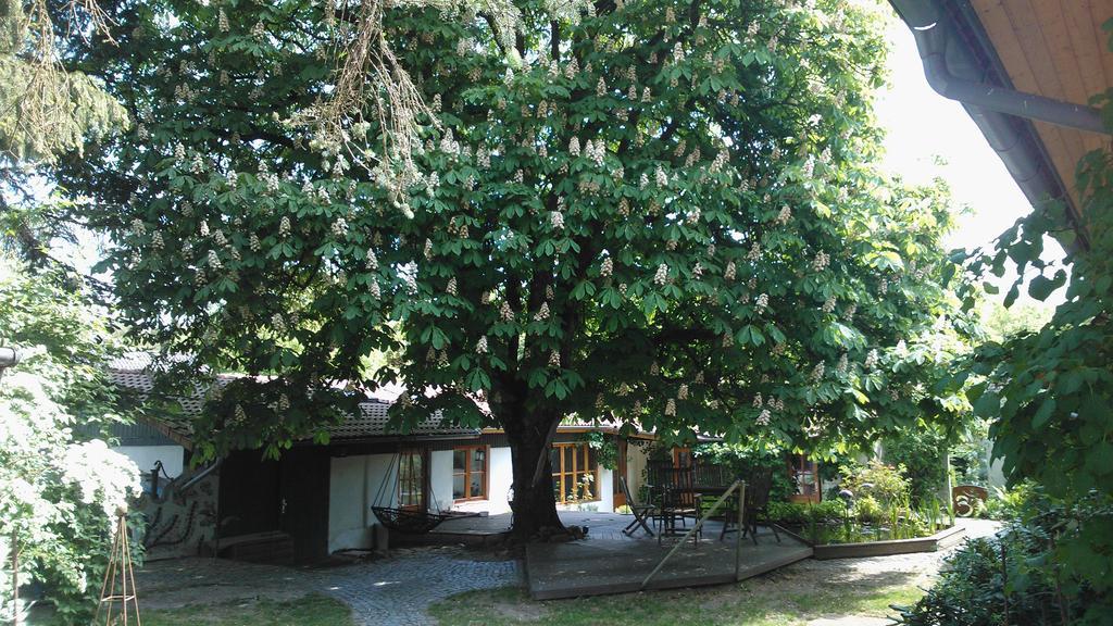 Kastanienhof Alvern Celle
